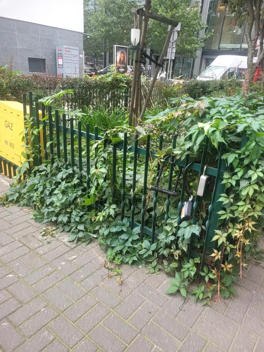 Apartament Centrum Chmielna Warszawa Exteriör bild